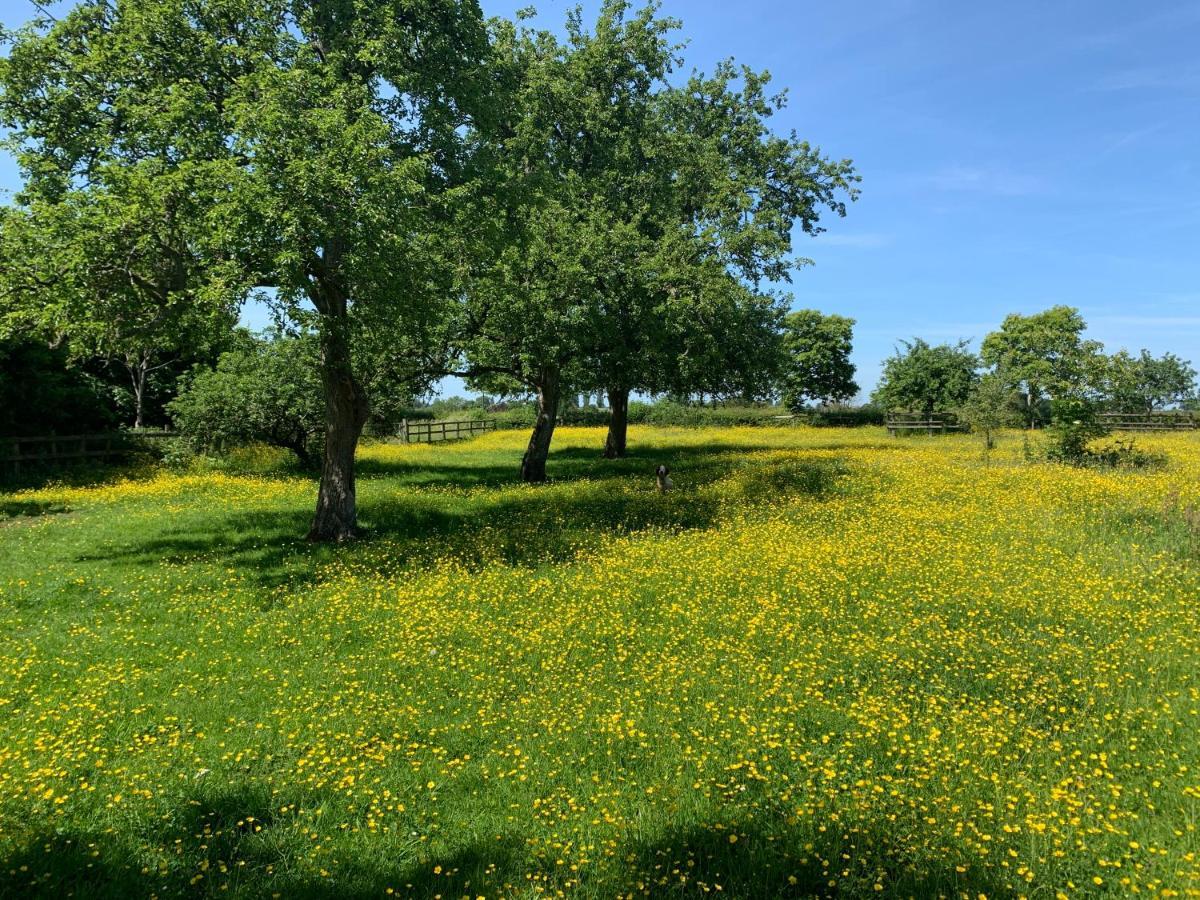 Beautiful Rural Apt, Walking Distance To Three Choirs Vineyard/Brassiere Gloucestershire Appartement Newent Buitenkant foto